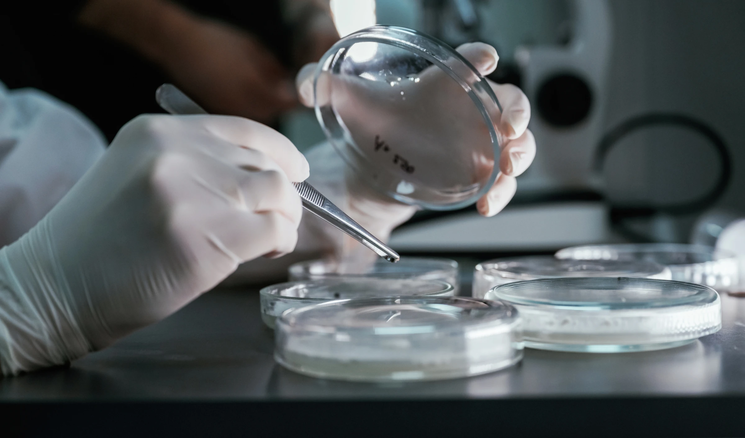 Cosmetic laboratory testing